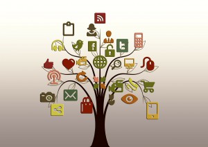 Social media bedrijf